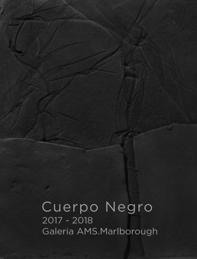 CUERPO NEGRO